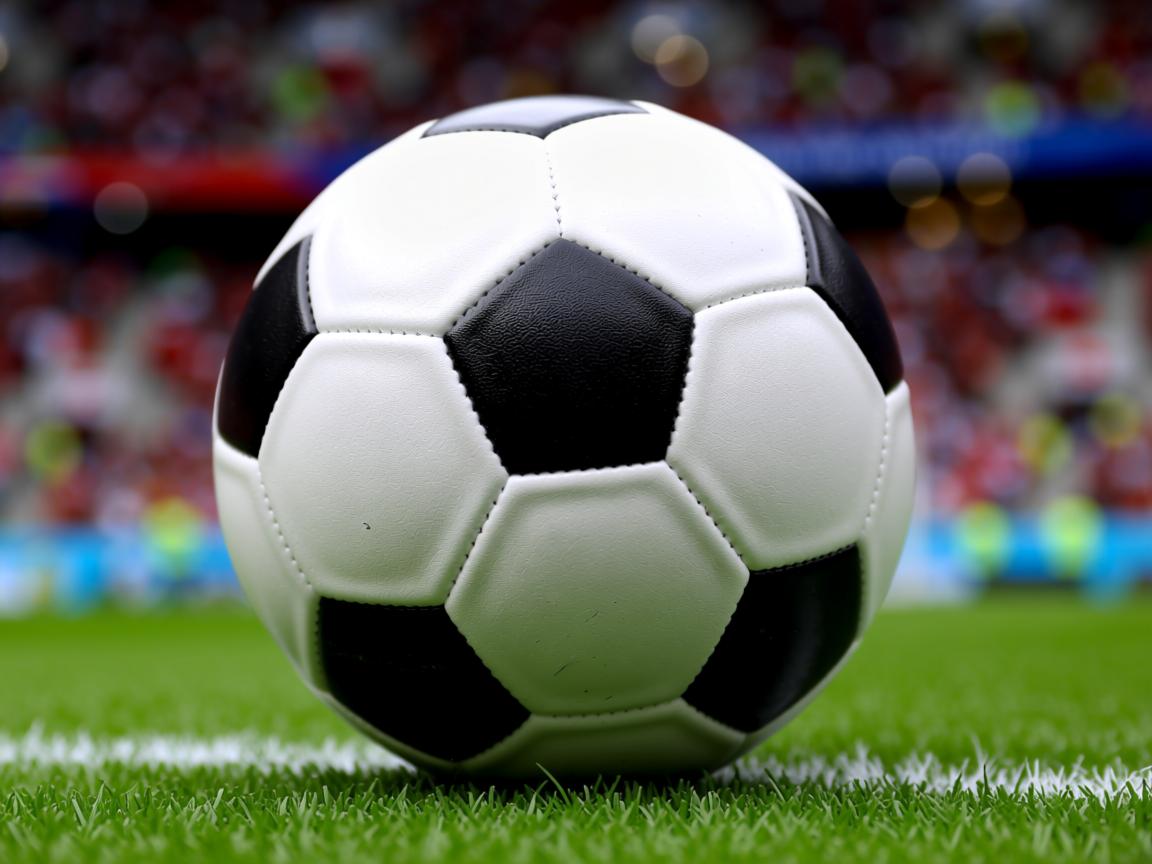 米兰体育官网首页-波兰胜芬兰,欧预赛精彩纷呈 第2张